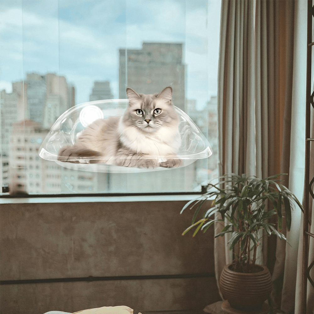 Cat Window Perch™ - Faisly