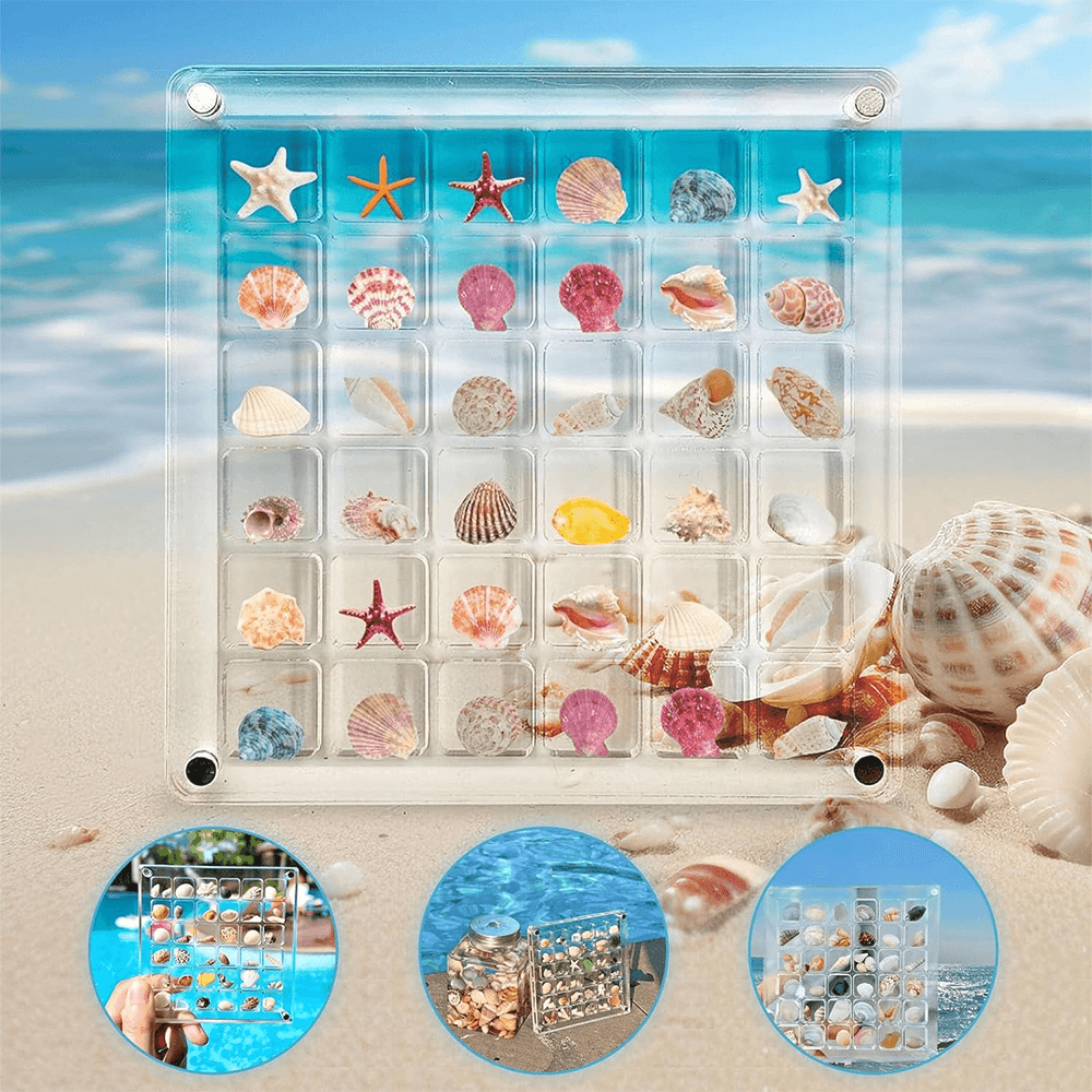 Seashell Container™ - Faisly